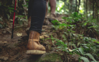Cuida de ti y de la naturaleza